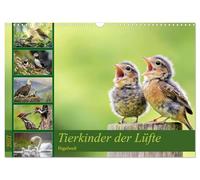 Tierkinder der Lüfte - Vogelwelt (Wandkalender 2027 DIN A3 quer), CALVENDO Monatskalender: Wenn Flügel wachsen lernen