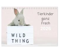 Tierkinder ganz frech (Tischkalender 2026 DIN A5 quer), CALVENDO Monatskalender: In jedem Monat präsentiert ein niedliches Tierkind eine Leuchtbox mit einem frechem Spruch