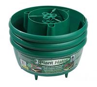 Tierra Garden Garland GP167G Green Plant Halos (Pack of 3),Small