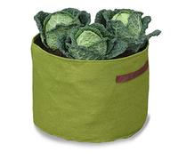 Tierra Garden Haxnicks VIG080101 Vigo Pots, Vert, 18 x 18 x 20 cm