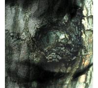 Tiersen, Yann - La Valse des Monstres/The [Import]