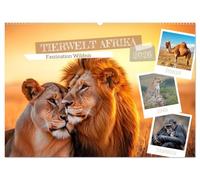 TIERWELT AFRIKA Faszination Wildnis (Wandkalender 2026 DIN A2 quer), CALVENDO Monatskalender: Vielfalt der afrikanischen Fauna entdecken