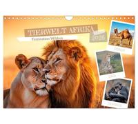 TIERWELT AFRIKA Faszination Wildnis (Wandkalender 2026 DIN A4 quer), CALVENDO Monatskalender: Vielfalt der afrikanischen Fauna entdecken