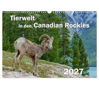 Tierwelt in den Canadian Rockies (Wandkalender 2027 DIN A3 quer), CALVENDO Monatskalender: Wunderschöne, spektakuläre und emotionale Tieraufnahmen die ... Paradies für Tier- und Naturliebhaber sind