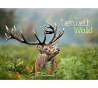 Tierwelt Wald Kalender 2027: Bildstarker Tier-Kalender im Querformat (45x33 cm) | Heimische Wildtiere in ihrem Lebensraum