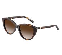 Tiffany Femme TF4251 80153B Lunettes de soleil Acétate Tortue Marron Cat Eye Normale Ombré