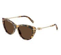Tiffany Femme Tiffany TF4253 80643G Lunettes de soleil Acétate Tortue Marron Cat Eye Normale