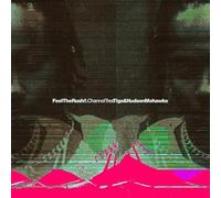 Tiga & Hudson Mohawke - Feel The Rush Remixes [Vinyl LP]