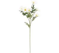 Atmosphera Tige artificielle de marguerite H60 cm multicolore