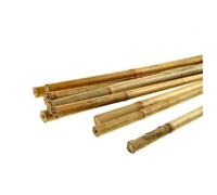 Tige bambou pour houe - Big - 6/8 mm - 900 mm - Léger - Résistant - Écologique