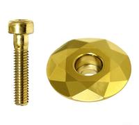 Tige de 31 mm pour capuchon supérieur pour fourches VTT de route de 31 mm pour