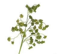 Tige de baies artificielles, couronne de Noël, branche de prune synthétique pour décoration saisonnière de la maison, fêtes d'automne et présentoirs de table festifs (vert)