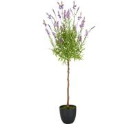 Tige de lavande d'environ 95cm violette dans un pot en plastique 14x13cm plante décorative artificielle durable