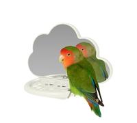 Tige de miroir cage à oiseaux - Miroir perroquet avec barre de baignoire, boîte d'alimentation Nymphensitti Toy | Accessoires pour cage à oiseaux, tiges pour crayon pour pare-soleil, Asient