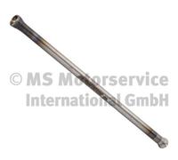 Tige de poussoir BF 20100390650