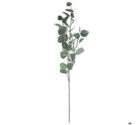 Atmosphera – Tige d'eucalyptus artificiel H 92 cm Vert
