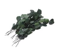 Tige D'eucalyptus Séché Vert pour Décoration de Fleur Solide | Feuille Préservée, Style Rustique Nordique et Ferme, pour Compositions Sèches, Salon et Jardin