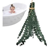 Tige d'eucalyptus véritable pour la douche - Eucalyptus à suspendre - Eucalyptus séché et naturel - Grand paquet pour mariage, arrangement floral, fête, décoration d'intérieur