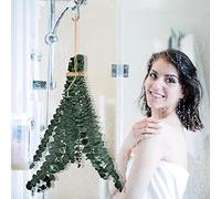 Tige d'eucalyptus véritable pour la - Eucalyptus à Suspendre - Eucalyptus séché à Suspendre dans la - Branches de Plantes d'eucalyptus séchées - 10 Branches