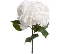 Atmosphera Tige d'hortensia artificiel blanc H83 cm