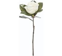tige fleur artificielle magnolia 70cm - jja 168604 Blanc G
