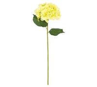 tige fleur hortensia artificiel 83cm vert clair - générique 130813h Vert