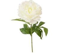 tige fleur pivoine artificiel 70cm blanc - générique ftg2127b Blanc G