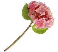 tige hortensia artificiel 35cm rose - générique 13998 Rose G