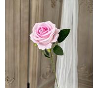 Tige pour fleur Soie Douce 51cm Aspect Naturel Luxueux Tige pour(E)