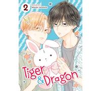 Tiger And Dragon Vol. 2