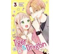 Tiger And Dragon Vol. 3