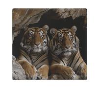 Tiger in Cave Coussins de chaise carrés imprimés Coussins de chaise de yoga Coussins de sol en mousse à mémoire de forme pour cuisine, salle à manger, bureau ou voiture, 38,1 x 38,1 cm, blanc