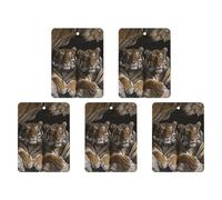 Tiger in Cave Lot de 5 feuilles d'encens parfumées à suspendre pour voiture, maison, voiture, décoration intérieure carrée, style gris