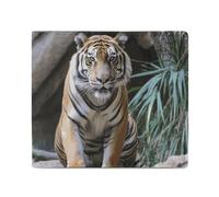 Tiger in The Zoo Portefeuille en cuir pour homme et femme Petit portefeuille fin à deux volets avec porte-cartes Blanc Taille unique Décontracté Blanc Taille unique décontracté, blanc, Taille unique,