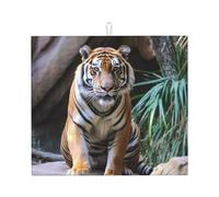 Tiger in the zoo Tapis égouttoir super absorbant avec crochet facile à nettoyer Accessoires de cuisine 45,7 x 40,6 cm