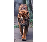 Tiger , Intissé Photo Mural, 90 X 202 Cm, 1 Part - Enfants