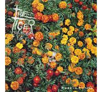 Tiger Shit Tiger Tig - Forever Young [Import]
