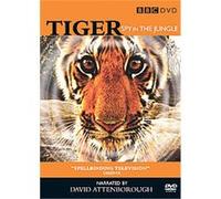 Tiger – Spy In The Jungle – BBC – Import anglais