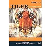Tiger - Spy In The Jungle [Import anglais]