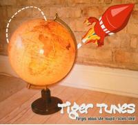 Tiger Tunes - Forget About the Stupid...(Ep)