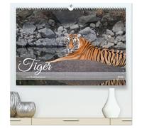 Tiger von Ranthambore (hochwertiger Premium Wandkalender 2026 DIN A2 quer), Kunstdruck in Hochglanz: Wilde Raubkatzen hautnah