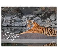 Tiger von Ranthambore (Wandkalender 2026 DIN A2 quer), CALVENDO Monatskalender: Wilde Raubkatzen hautnah