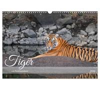 Tiger von Ranthambore (Wandkalender 2026 DIN A3 quer), CALVENDO Monatskalender: Wilde Raubkatzen hautnah