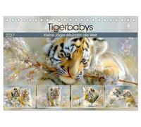 Tigerbabys. Kleine Jäger erkunden die Welt (Tischkalender 2027 DIN A5 quer), CALVENDO Monatskalender: Liebevolle Illustrationen zeigen Tigerbabys auf ... Entdeckungsreisen durch eine sanfte Naturwelt