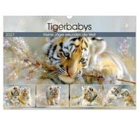 Tigerbabys. Kleine Jäger erkunden die Welt (Wandkalender 2027 DIN A3 quer), CALVENDO Monatskalender: Liebevolle Illustrationen zeigen Tigerbabys auf ihren Entdeckungsreisen durch eine sanfte Naturwelt