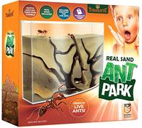 Tigerific Ferme de fourmis pour fourmis vivantes - Colonie de fourmis pour enfants - Grand kit scientifique pour enfants - Jeu d'habitat de fourmis avec sable réel inclus - Regardez les fourmis, les