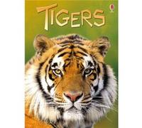 Tigers by James Maclaine James Maclaine, (Auteur)