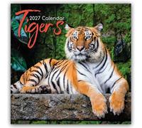 Tigers - Tiger 2027 - 16-Monatskalender: Original The Gifted Stationery Co. Ltd [Mehrsprachig] [Kalender]