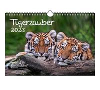 Tigerzauber Seelenzauber Calendrier 2023 Motif tigre Format A4