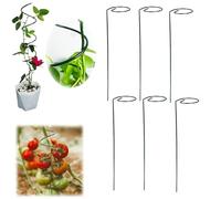 Tiges à tomates en spirales, tiges de support pour plantes grimpantes, piquets de support en métal pour plantes en pot (10, droit)